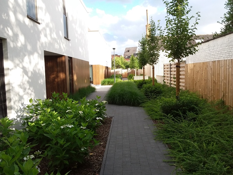 Nieuwbouwproject Lier