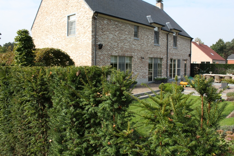 Nieuwbouw woning Vorselaar